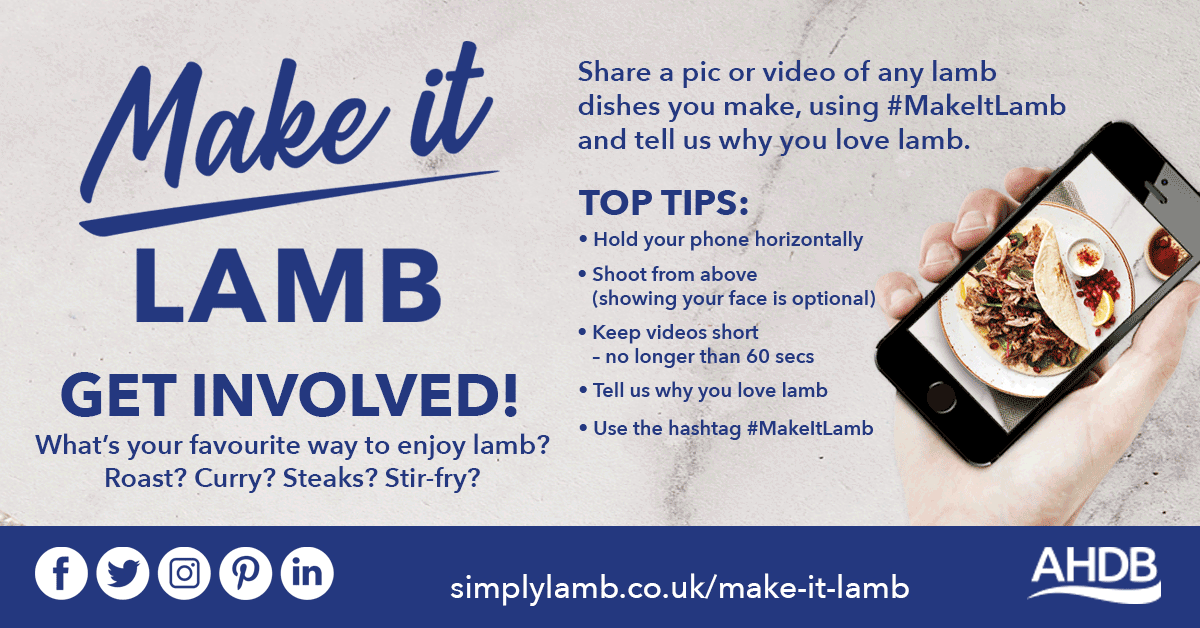 Make it. Share a pic or video of any lamb.